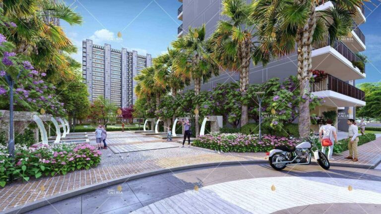 Recreational Outdoor Amenities